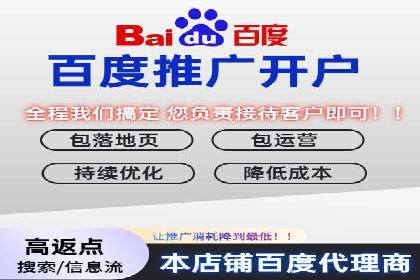 某品牌SEM广告投放效果全解析